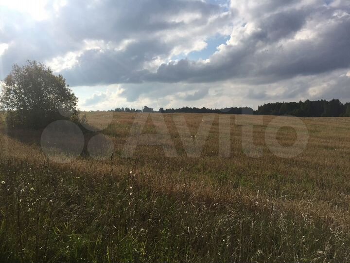 Участок 1,62 га (СНТ, ДНП)