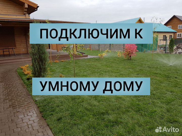 Сухой газон - озеленим