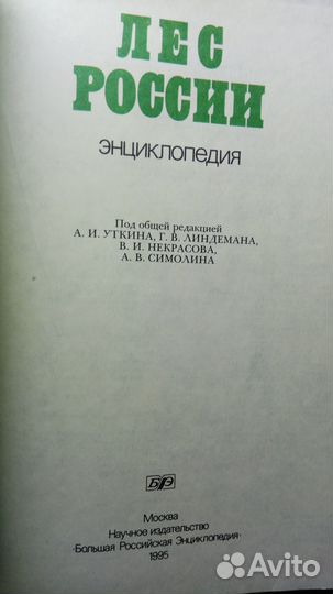 Энциклопедия Лес России