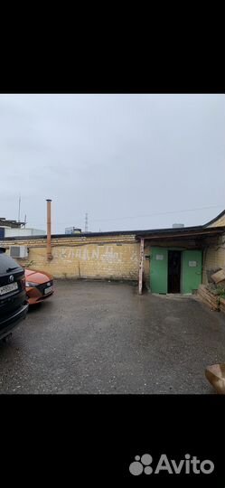 Говядина для фарша