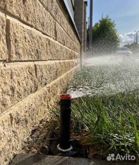 Рулонный газон с укладкой