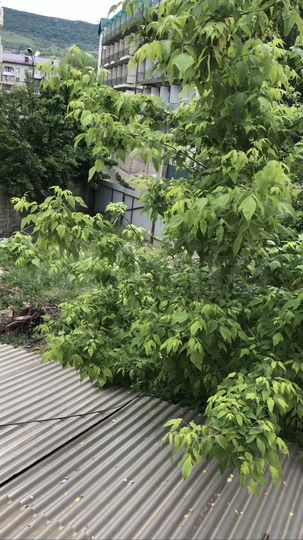 Участок 3,7 сот. (ИЖС)