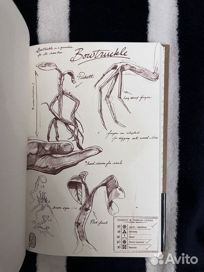 Блокнот Ньюта Саламандера