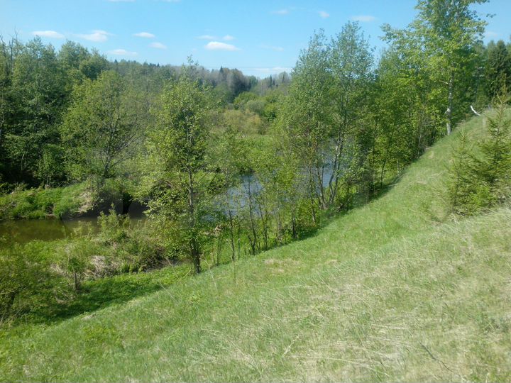 Дом 60 м² на участке 11 сот.