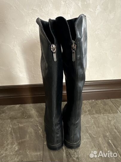 Кожаные сапоги женские демисезонные 37