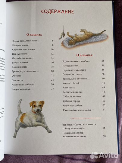 Детские книги. Энциклопедии