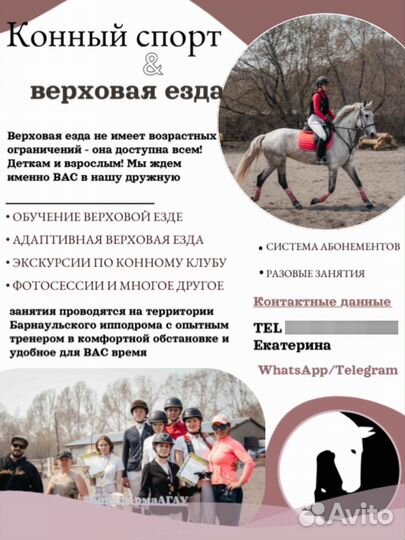 Обучение верховой езде