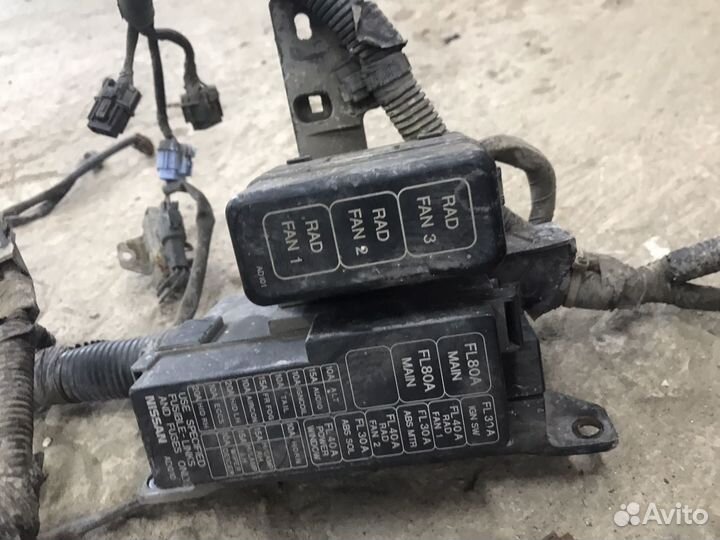 Проводка моторного отсека Nissan Presage U30