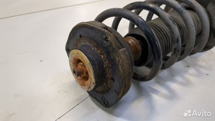 Амортизатор подвески Volkswagen Touran, 2005