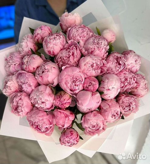 Пионы Букет