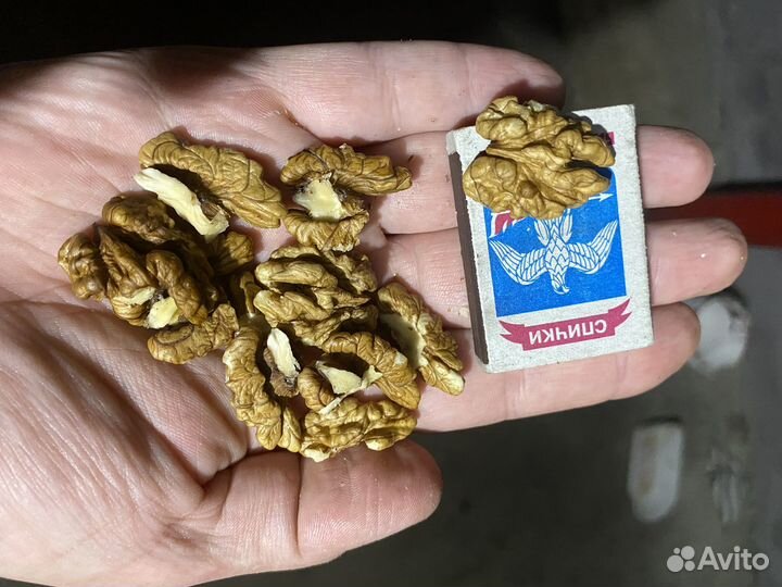 Орех грецкий