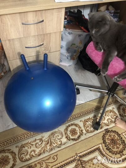 Гимнастический мяч