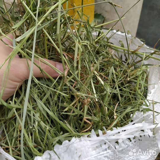 Сено луговое