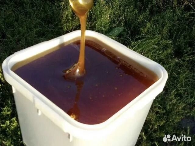 Мед оптом от производителя