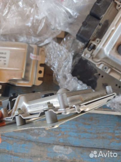 Эбу Мозги на Ниву