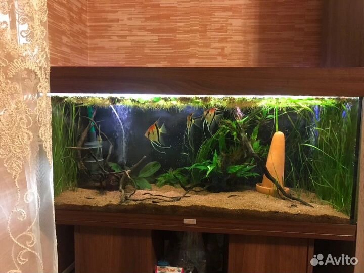 Аквариум juwel 180 литров