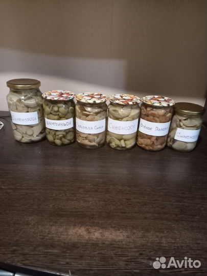 Грибы маринованные