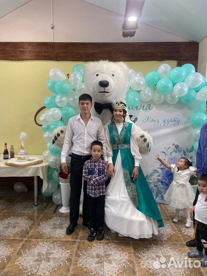 Поздравление от Белого Медведя,живая открытка