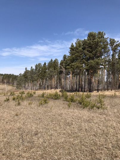 Участок 45 сот. (СНТ, ДНП)