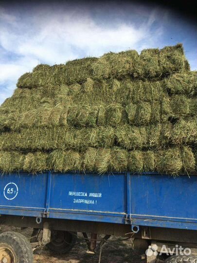 Сено луговое в тюках