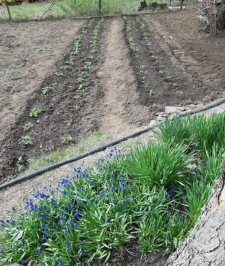 Дача 44 м² на участке 4,5 сот.