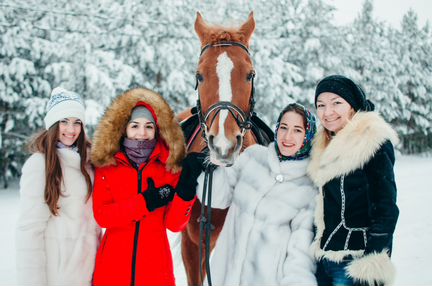 Пони, лошади, кареты. Конные прогулки