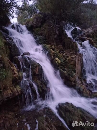 Экскурсии по Новосибирской области