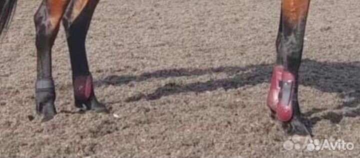 Ногавки стан Fouganza