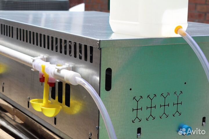 Клетки для перепелов