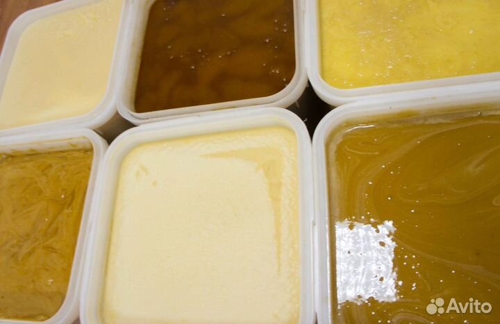 Мед 2023 натуральный алтайский опт