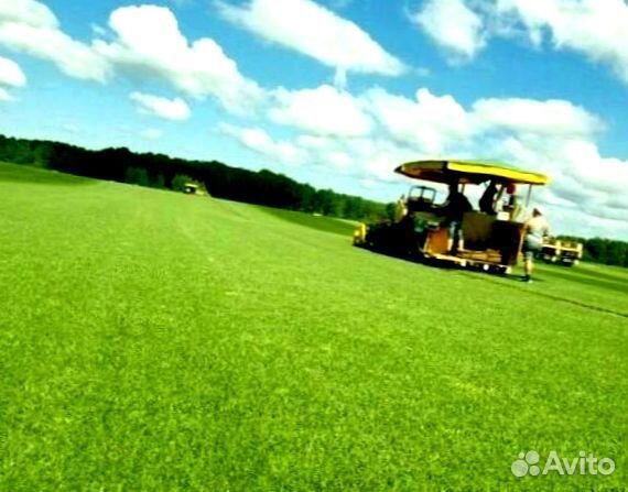 Рулонный газон