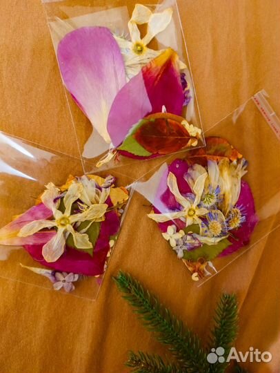 Набор для творчества Сухие цветы