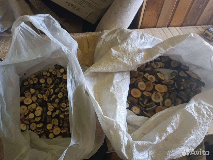 Торцевые спилы деревьев