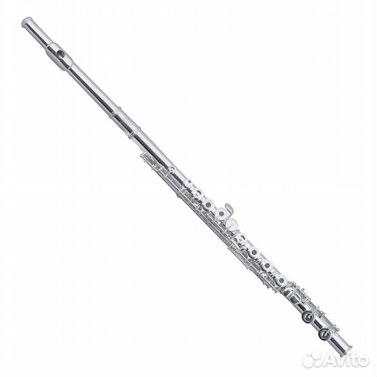 Флейта Roy Benson FL-602RE
