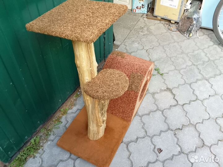 Когтеточки разные