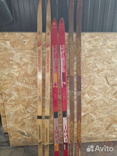 Беговые лыжи