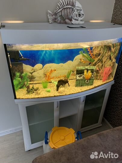 Аквариум с рыбками