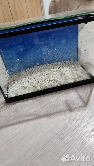 Аквариум