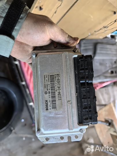 Эбу калина бош