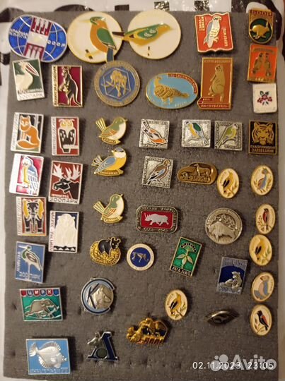 Знаки и значки СССР животные, зоопарк, заповедник