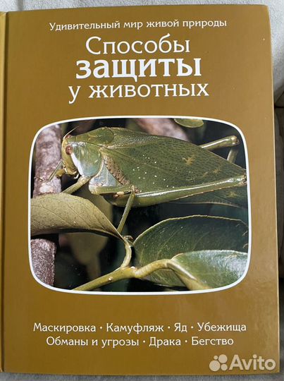 Энциклопедии, справочники о животных, растениях