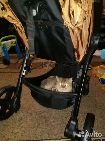 Коляска JET moon