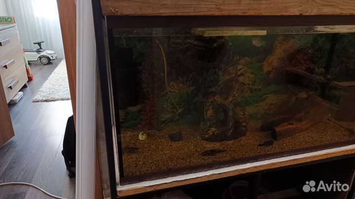 Аквариум с тумбой 200 литров
