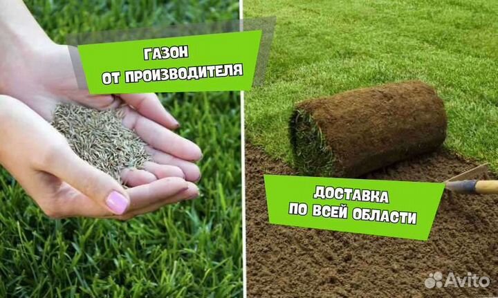 Рулонный газон