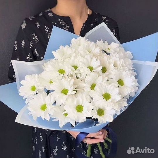 Доставка букетов и цветов. Хризантема