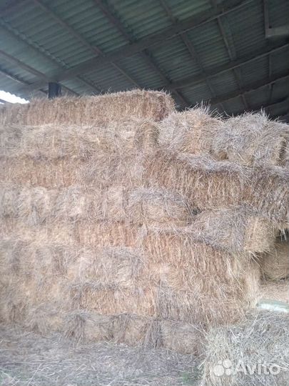 Сено в тюках