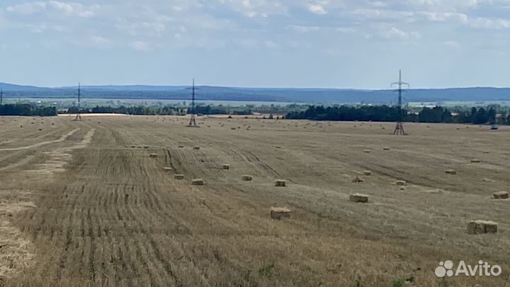 Солома ячменная