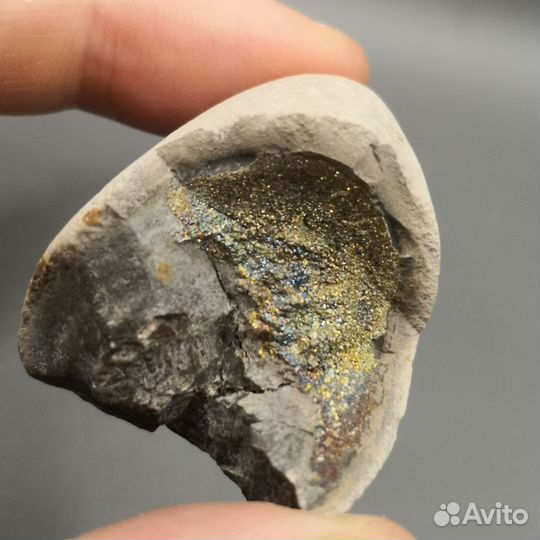 Марказит в септарии. Ундоры