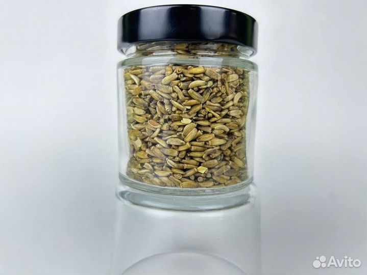 Расторопша / Семена расторопши