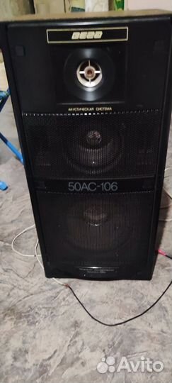 Акустическая система вега 50 AC-106
